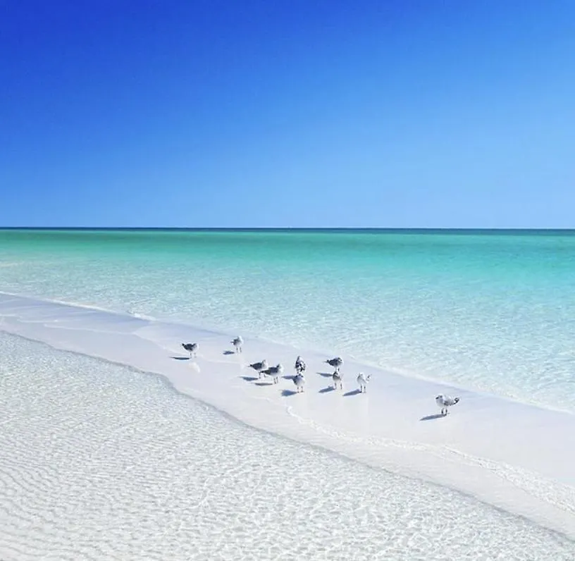 Pinkie Preferred Property Private Heated Pool Emerald Escape Destin